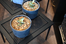 画像をギャラリービューアに読み込む, RobNoTable 小 (ロブノテーブル小)