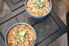 画像をギャラリービューアに読み込む, ハーフユニット天板 RobNoTenvan Tetsudake Rabat (ロブノテンバン テツダケ ラバト)