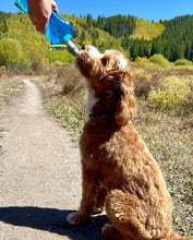 画像をギャラリービューアに読み込む, EZ Lick Dog Bottle Vapur(ヴェイパー) × RobSnow(ロブスノウ) Water 0.7L